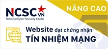 tin-nhiem-mang-100vip
