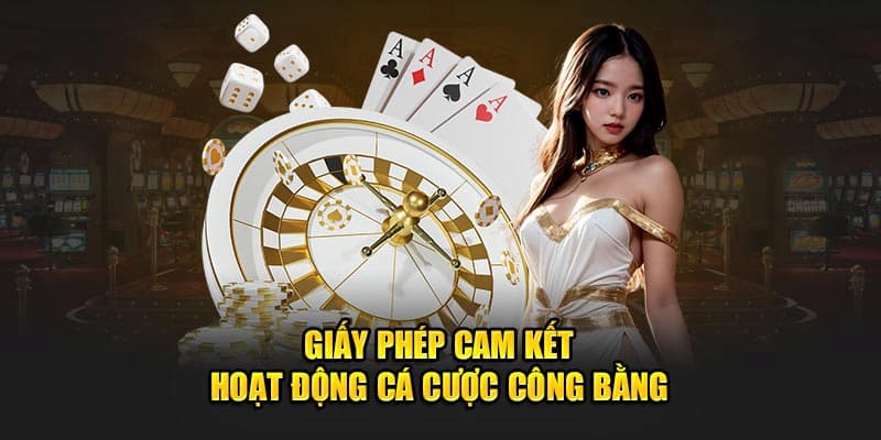 giay-phep-hoat-dong-100vip-cam-ket
