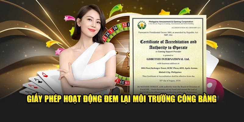 giay-phep-hoat-dong-100vip-so-luoc
