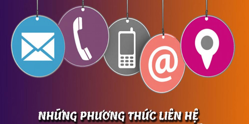 lien-he-100vip-cach-thuc