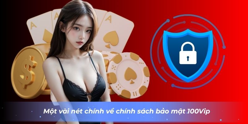 mot-vai-net-chinh-ve-chinh-sach-bao-mat-100vip