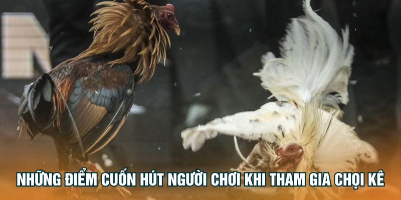 nhung-diem-cuon-hut-nguoi-choi-khi-tham-gia-choi-ke
