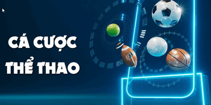 the-thao-100vip-bo-mon