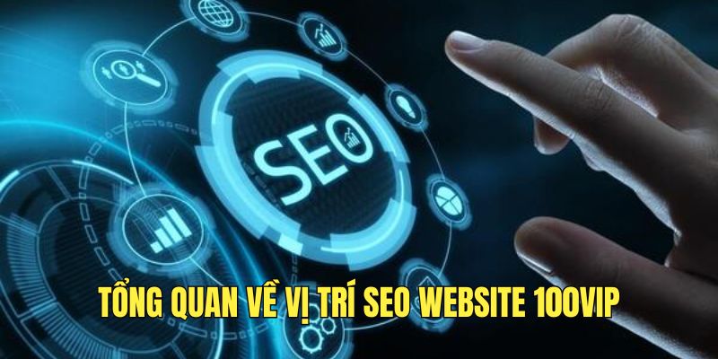 tim-hieu-ve-vi-tri-seo-website-100vip