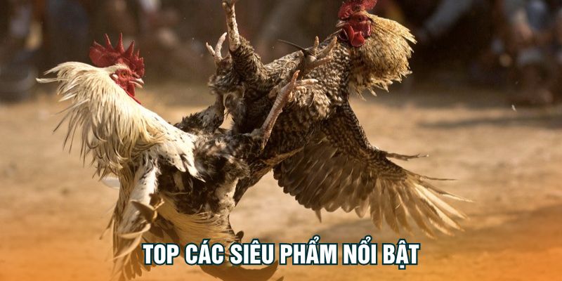 top-cac-sieu-pham-noi-bat