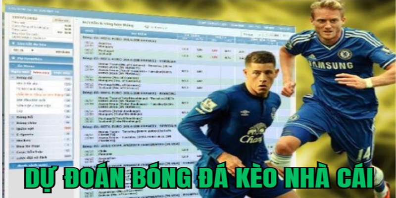 du-daon-bong-da-keo-nha-cai